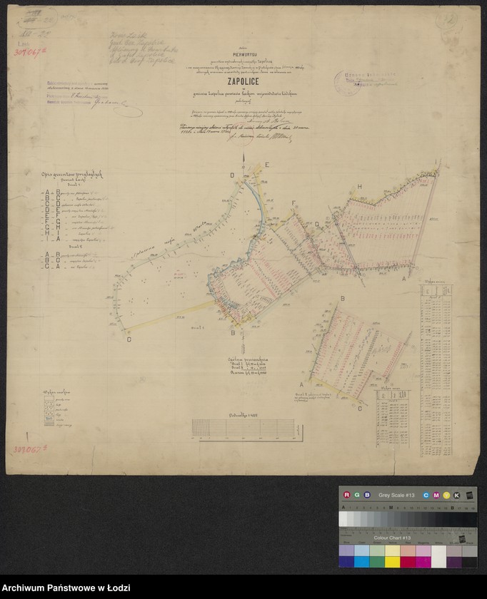 Obraz 1 z jednostki "Szkic pierworysu gruntów wydzielonych z majątku Zapolice i na mocy orzeczenia Okręgowej Komisji Ziemskiej w Piotrkowie z dnia 30 maja 1930 roku oddanych w zamian za serwituty pastwiskowe i leśne na własność wsi Zapolice w gminie Zapolice powiecie łaskim ... położonych"