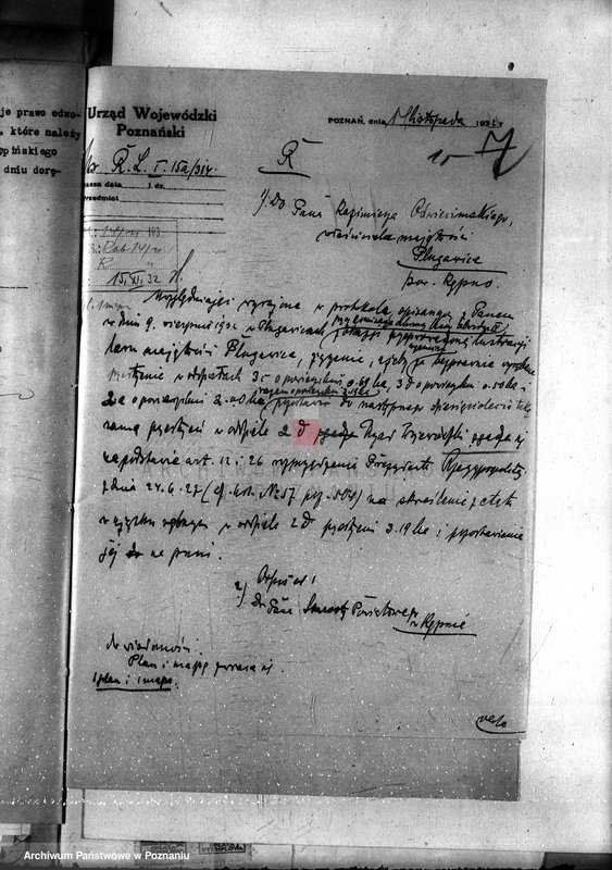 Obraz 19 z jednostki "Nadzór nad gospodarką w lasach majętności Plugawice powiat kępiński"