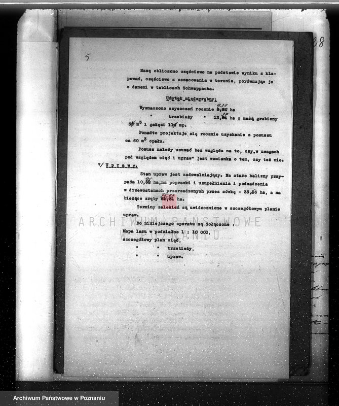 Obraz 9 z jednostki "Plan urządzenia gospodarstwa leśnego dla lasu ordynacji Kobylniki powiat szamotulski 1930-1940"