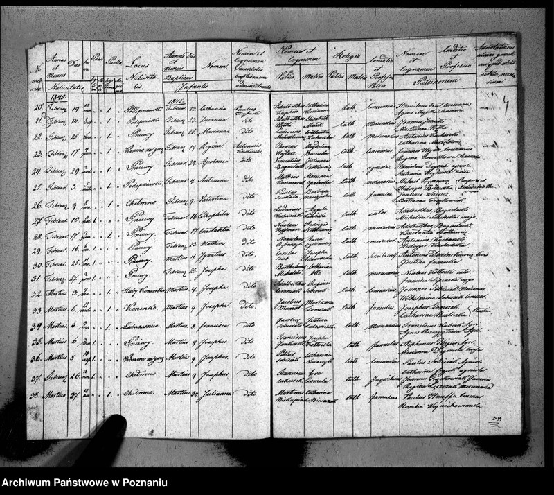 Obraz 5 z jednostki "Duplicat baptisatorum, copulatorum, mortuorum"