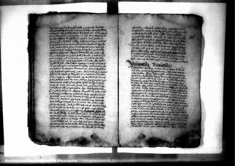 Obraz 13 z jednostki "Decreta officii [inducta]"