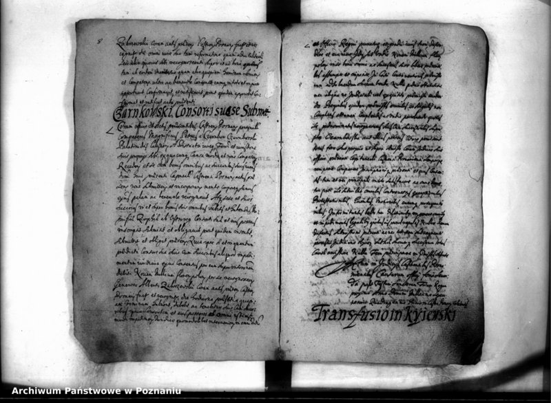 Obraz 12 z jednostki "Inscriptiones [inducta]"