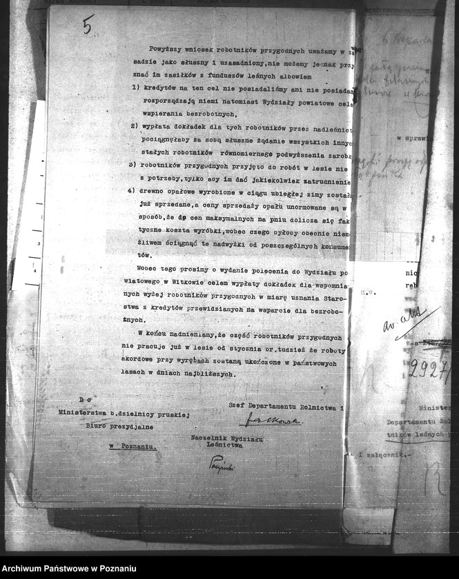 Obraz 9 z jednostki "Leśnictwo"