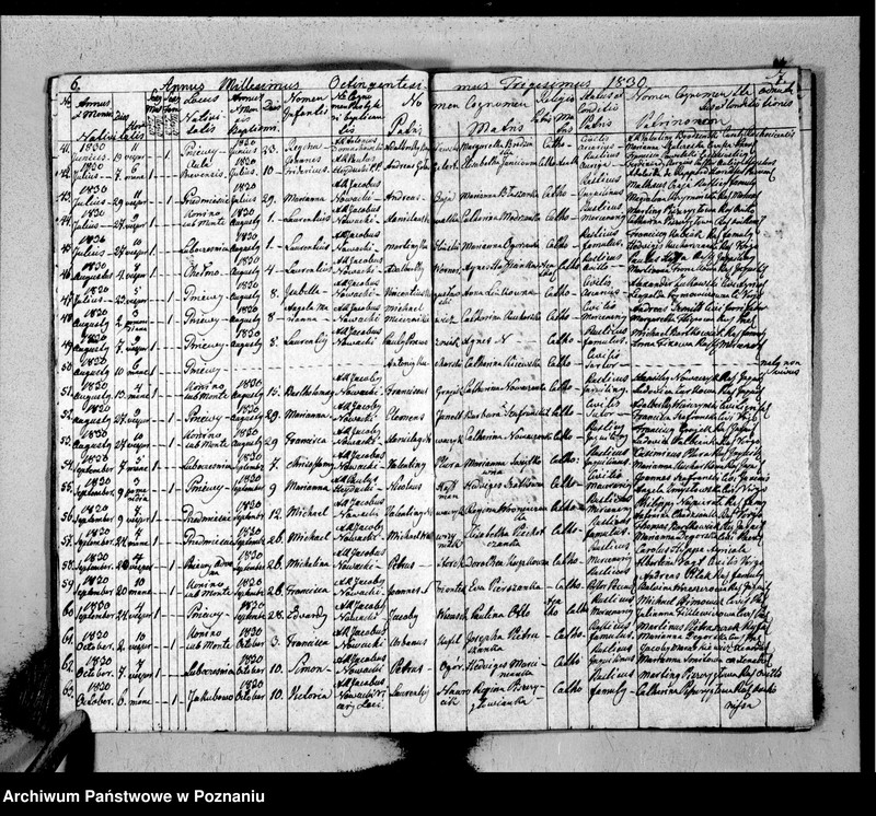 Obraz 6 z jednostki "Duplicat baptisatorum, copulatorum, mortuorum"