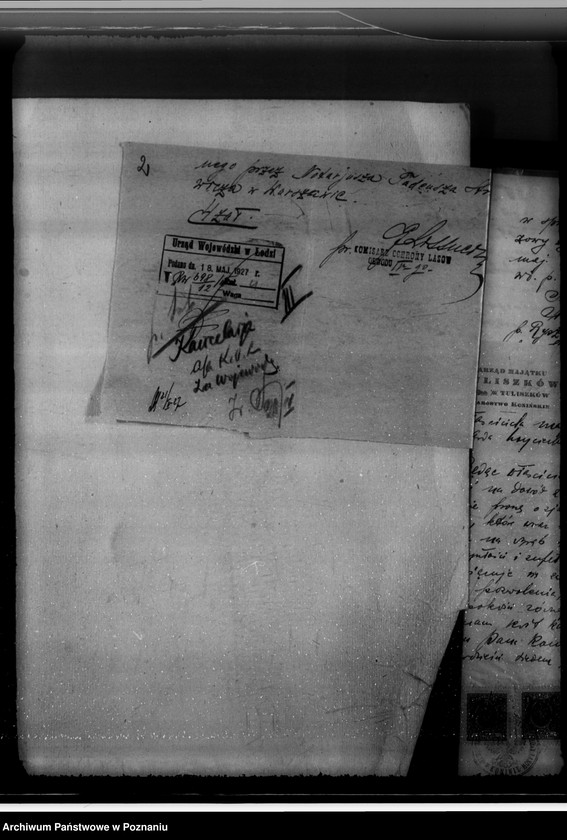 Obraz 7 z jednostki "Majątek Tuliszków, Rysiu, Szubianki powiatu konińskiego /nadzór nad gospodarką leśną/"