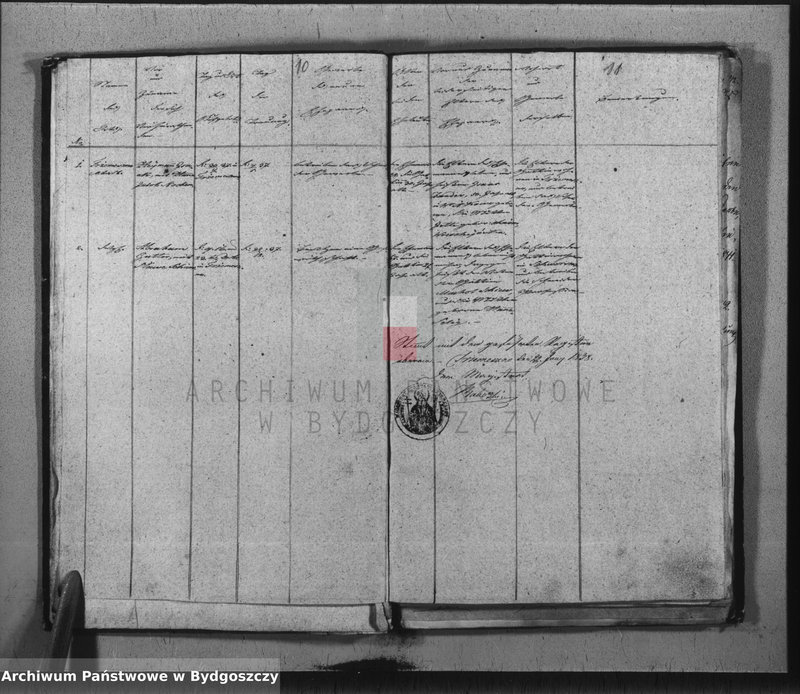 image.from.unit.number "Duplicate der Civil Standes Bücher der Juden Gemeinde zu Trzemeszno"