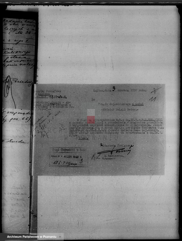 Obraz 15 z jednostki "Majątek Kuszyn powiat kaliski /sprawy leśne/"