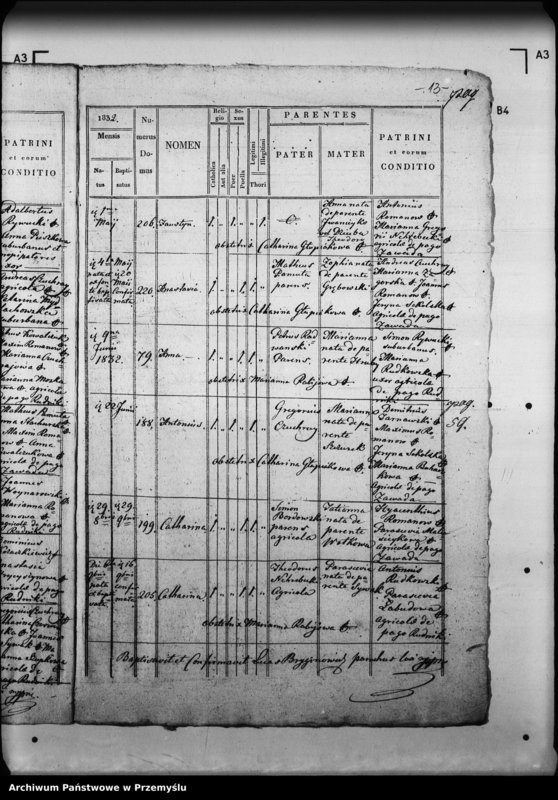 Obraz 17 z jednostki "[Kopie ksiąg metrykalnych parafii Mościska z filiami Lipniki, Rudniki, Zawada (dekanat Mościska)]"