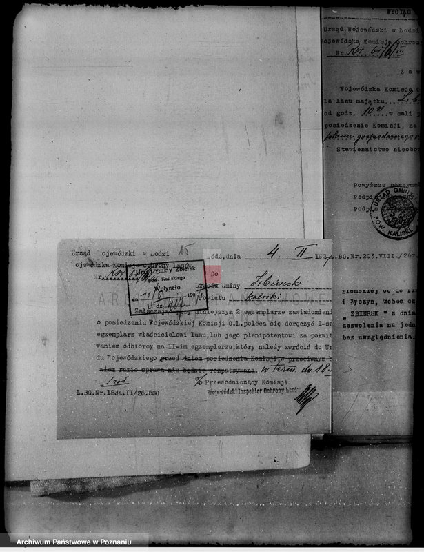 Obraz 19 z jednostki "Lustracja lasu majątku Zbiersk i Petryki powiatu kaliskiego oraz zatwierdzenie uzupełnienia planu gospodarstwa leśnego"