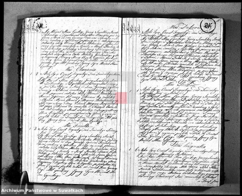 image.from.unit.number "Księga aktów ślubnych gminy suwalskiey, powiatu dąbrowskiego w departamencie łomżyńskim od dnia 1 maja 1813 po 1 maja 1814"