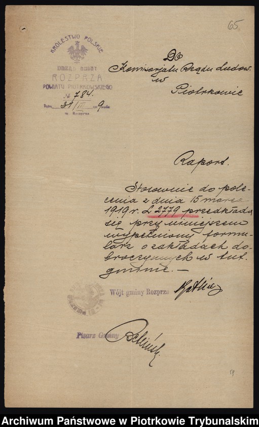 image.from.collection.number "Ochronki, szpitale i przytułki dla starców i kalek. Trudne realia piotrkowskiej służby zdrowia u progu niepodległości111"