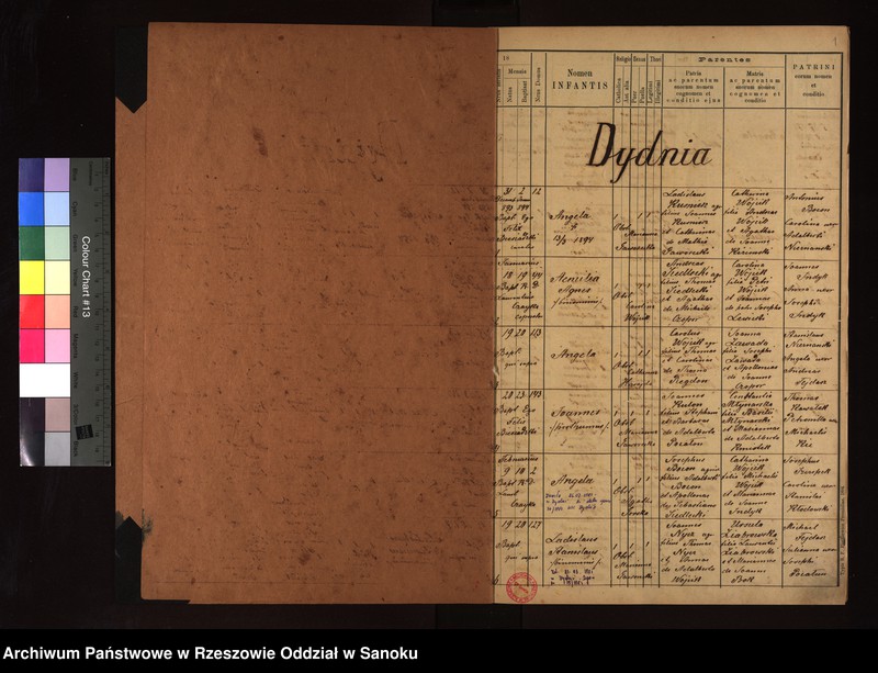 Obraz z jednostki "Księga urodzeń, małżeństw, zgonów z miejscowości Dydnia, Falejówka, Jabłonka, Jabłonica Ruska, Końskie, Krzemienna, Krzywe, Obarzym, Raczkowa, Temeszów, Witryłów, Wydrna"