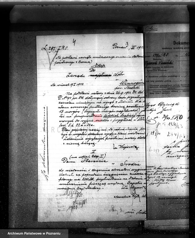 Obraz 8 z jednostki "Nadzór nad gospodarką w lasach majętności Bronisław"