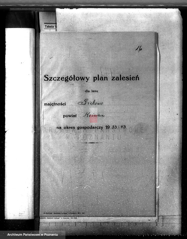 Obraz 20 z jednostki "Las majętność /Siekówko/ powiat kościański plan urządzenia 1933-1943"