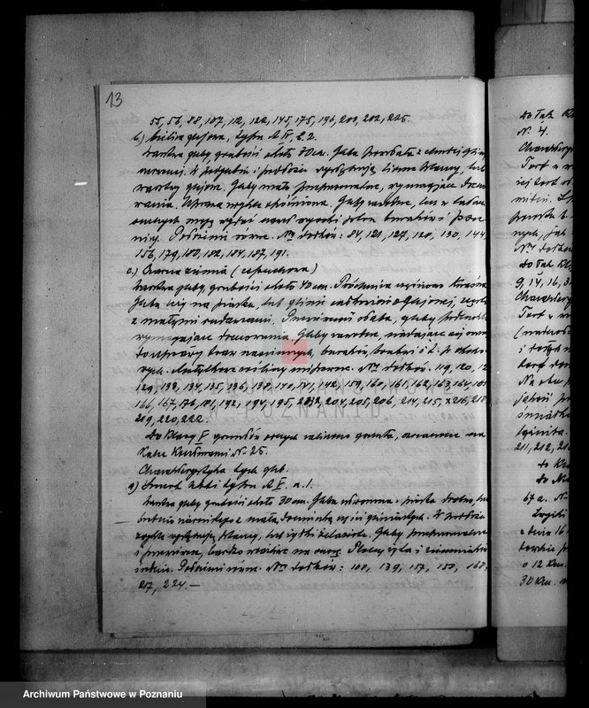 Obraz 17 z jednostki "Operat szacunkowy gruntów przymusowo-wykupionych z majątku Jeziorki Kosztowskie powiatu wyrzyskiego"