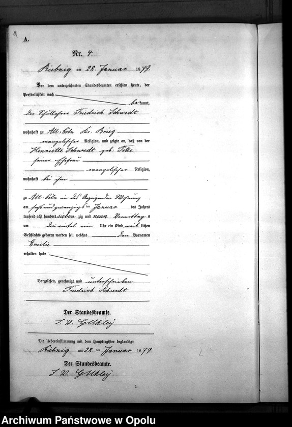Obraz 7 z jednostki "Geburts-Neben-Register Standes-Amt Riebnig 1879"