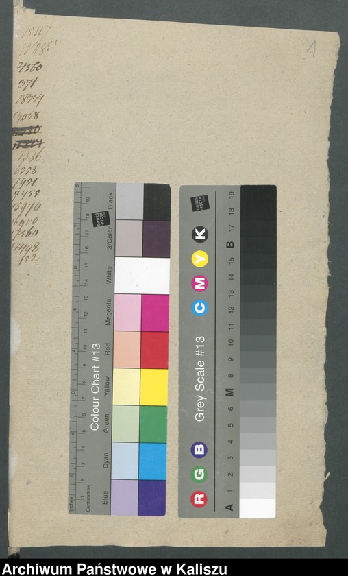 Obraz z jednostki "Przywileje miasta Koźminka"