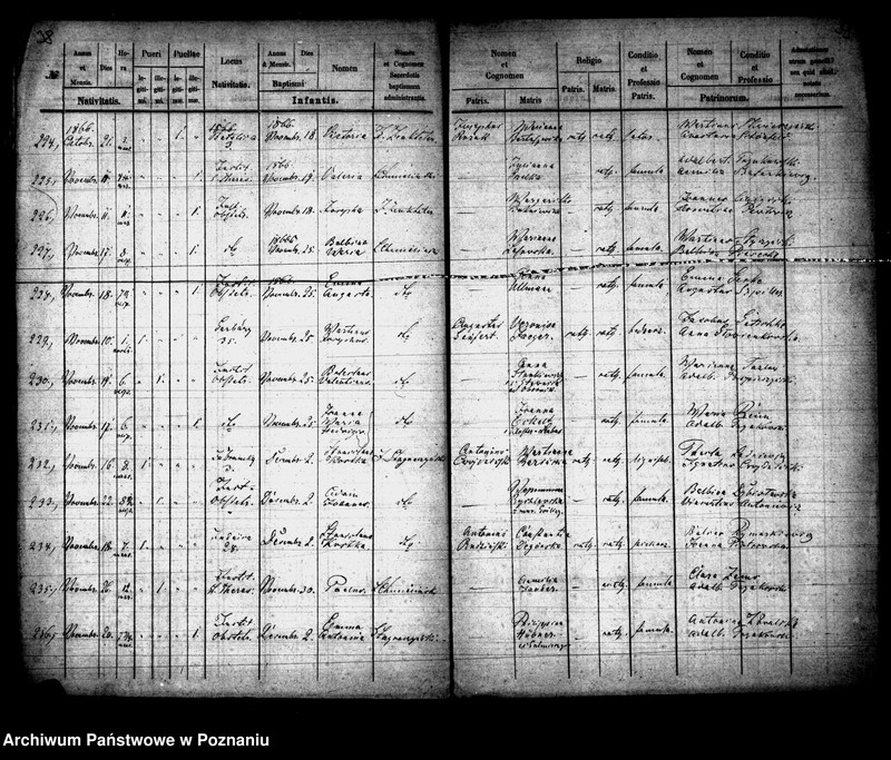 Obraz 20 z jednostki "Księga urodzin"