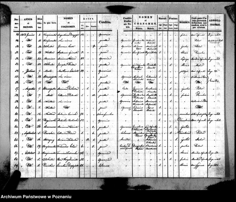 Obraz 6 z jednostki "Duplikat mortuorum"