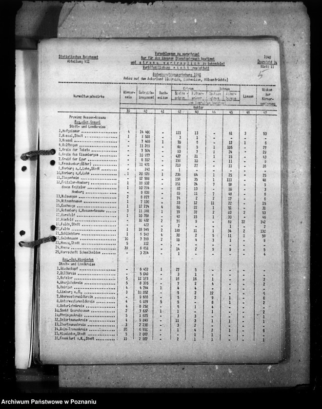 Obraz 10 z jednostki "Hessen - Nassau"