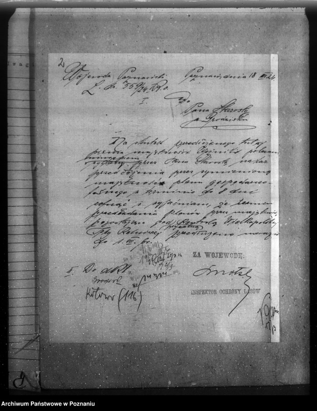 Obraz 6 z jednostki "Majętność leśna Kotowo-Wożniki powiat nowotomyski"