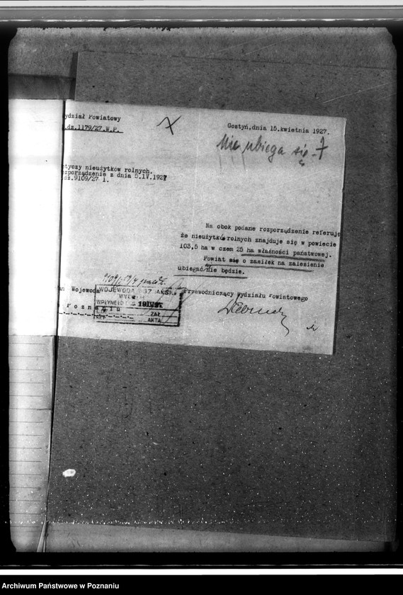 Obraz 11 z jednostki "Zalesienie nieużytków w powiecie gostyńskim"