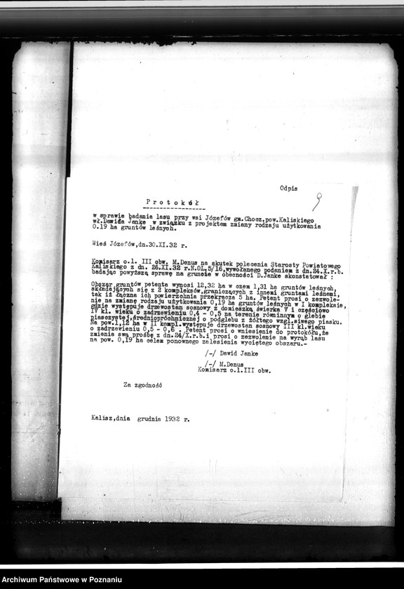 Obraz 13 z jednostki "Gmina Chocz w powiecie kaliskim /nadzór nad gospodarką leśną/"