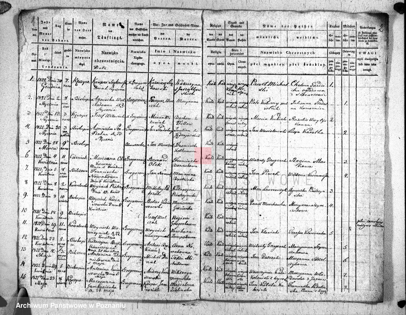 Obraz 3 z jednostki "Duplikat urodzonych"