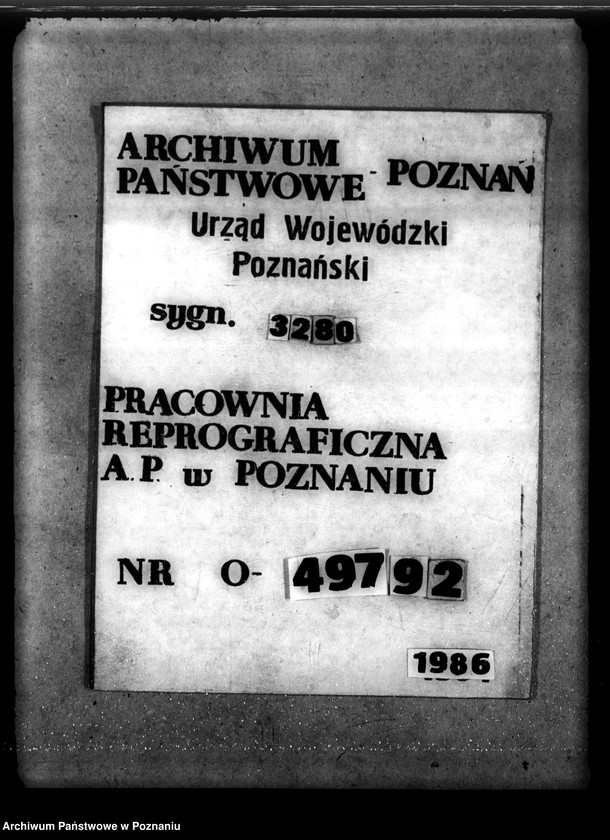 Obraz 1 z jednostki "/Las majątku Dąbrówka-Kujawska/"