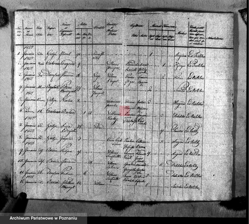 image.from.unit.number "Liber baptisatorum, copulatorum, mortuorum"