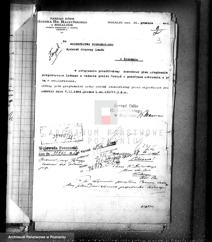 Obraz 7 z jednostki "Majętność leśna Jeżewo w powiecie gostyńskim"