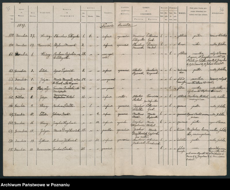 Obraz 20 z jednostki "Księga zgonów"