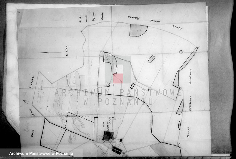 Obraz 7 z jednostki "Majątek Wysoka Mała wyłączenie z art.. 4 i 5 ustawy o wykonaniu reformy Welter Buttner"