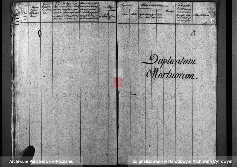 image.from.unit.number "Duplicatum baptisatorum, copulatorum, mortuorum"