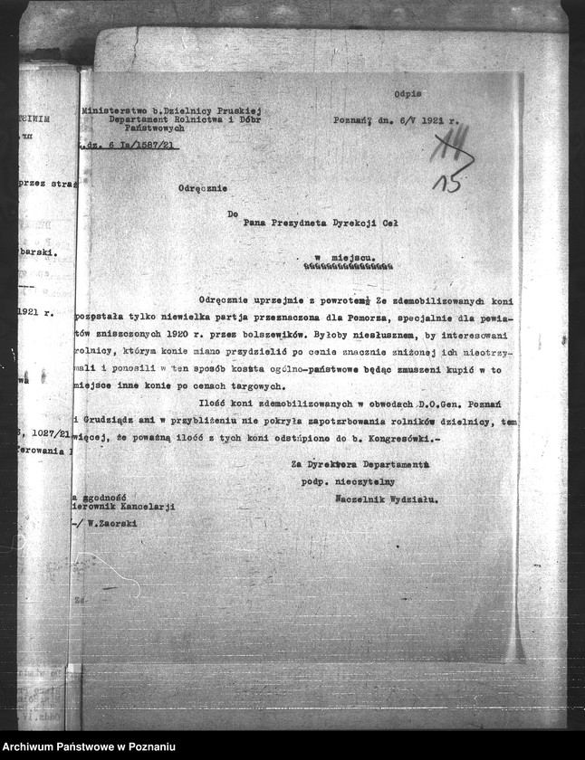 Obraz 19 z jednostki "Konie"