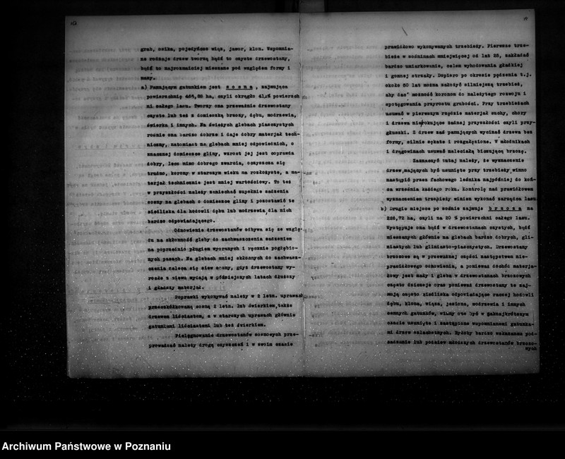 Obraz 10 z jednostki "Ogólny opis lasu majętności Września (plan cięć i plan urządzenia gospodarstwa leśnego)"