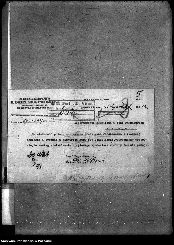 Obraz 9 z jednostki "Księgosusz - Szamotuły"