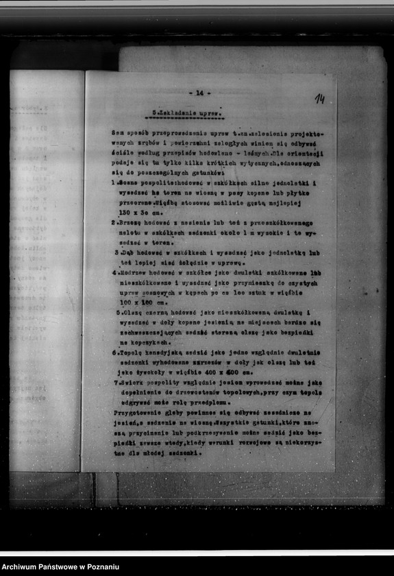 Obraz 18 z jednostki "Program urządzania gospodarstwa leśnego majętności Brachlin -powiat kościański"