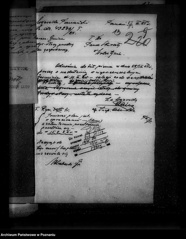 Obraz 17 z jednostki "Las gromady Żodyń Nowy powiat wolsztyński"