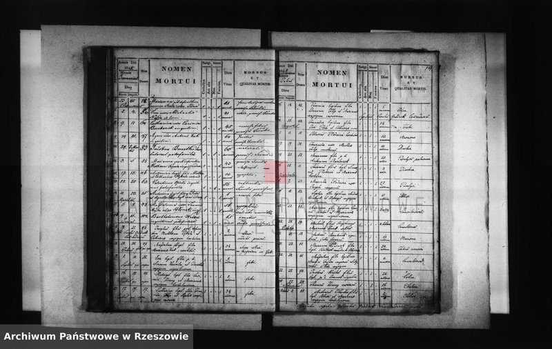 image.from.unit.number "Księga zgonów - Borek Stary"