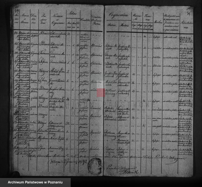 image.from.unit.number "Duplicat baptisatorum, copulatorum, mortuorum"