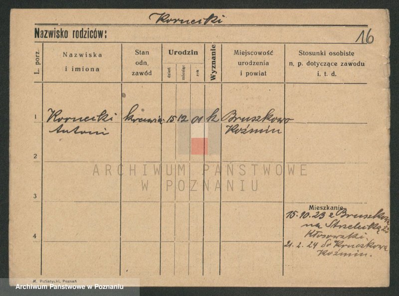 Obraz 16 z jednostki "Kornecki - Kortus"