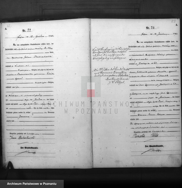 Obraz 13 z jednostki "Księga urodzeń t. I"