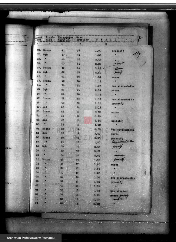 Obraz 18 z jednostki "Lasy miasta Dąbie powiatu kolskiego"