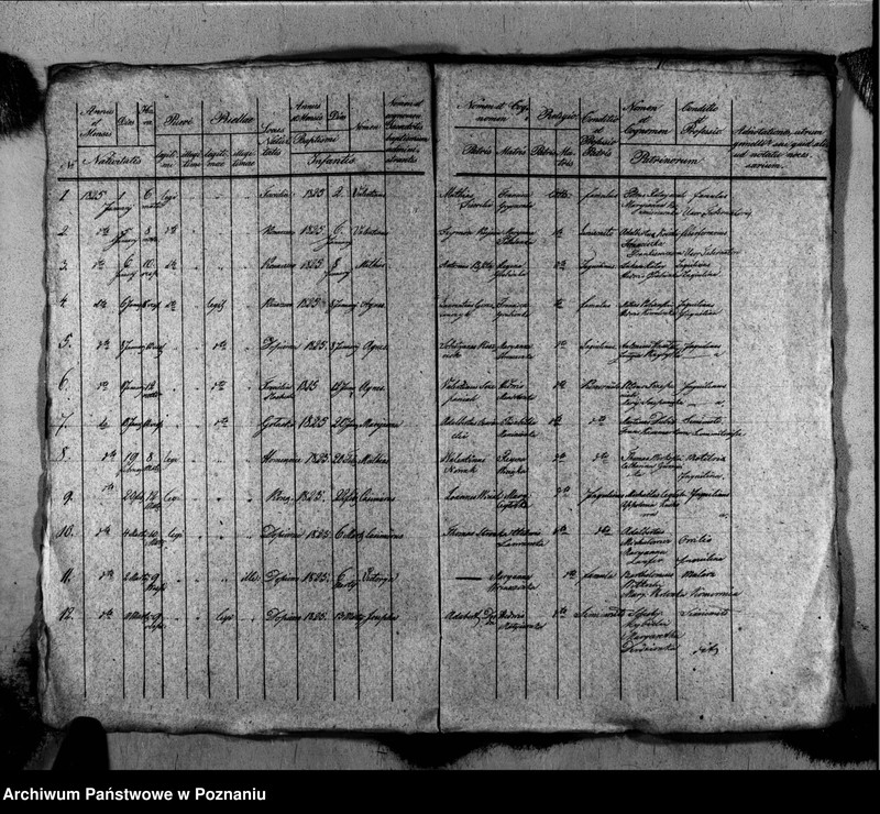 Obraz 4 z jednostki "Liber baptisatorum, copulatorum, mortuorum"