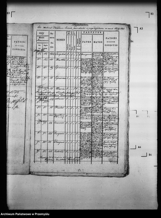 Obraz 16 z jednostki "[Kopie ksiąg metrykalnych parafii Wysowa z filią Blechnarka (dekanat Gorlice)]"