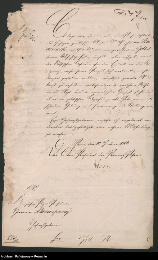 Obraz 12 z jednostki "A. betr. Theofil von Kaczorowski /Koczorowski/"