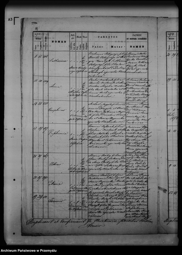 Obraz 15 z jednostki "[Kopie ksiąg metrykalnych parafii Werchrata z filią Prusie (dekanat Rawa Ruska)]"