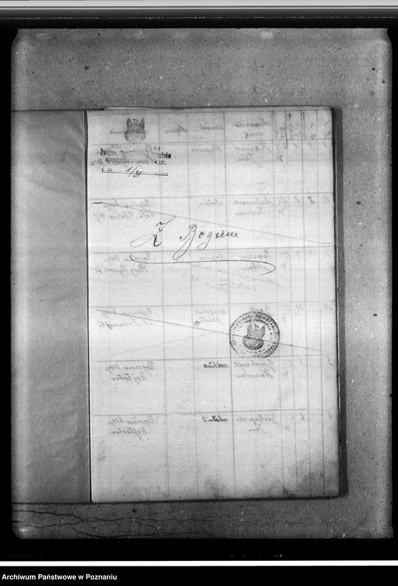 image.from.unit.number "Ewidencja członków Miejscowego Oddziału Związku Powstańców i Strzelców [Wielkopolski Związek Powstańców i Strzelców oddział w Rogoźnie]"