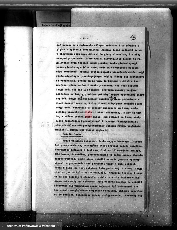 Obraz 17 z jednostki "Las majętność /Siekówko/ powiat kościański plan urządzenia 1933-1943"